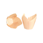 Caissettes tulipes